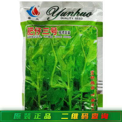 雲火肥仔三号豌豆苗种子