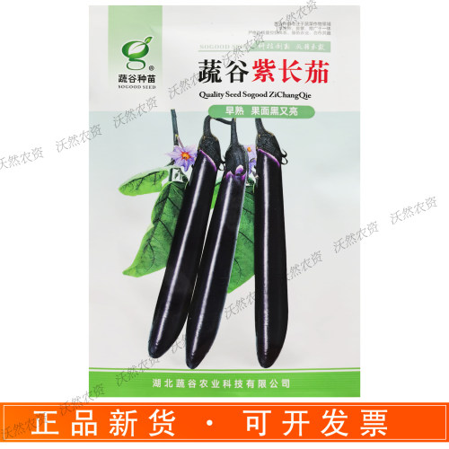 蔬谷紫长茄杂交种子早熟早播