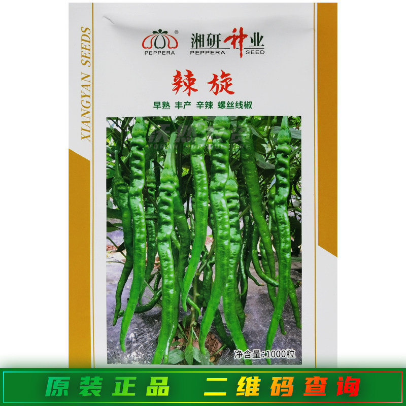湘研辣旋辣椒种子 早熟螺丝椒种耐低温螺丝线椒种子 皮薄味辣细长