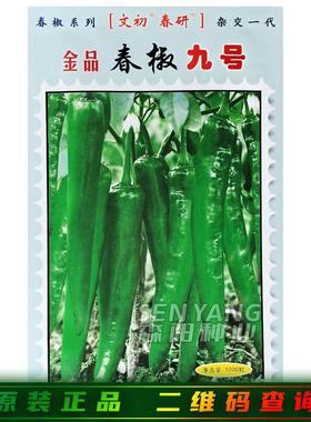 金品春椒九号辣椒种子早熟高产肉厚腔小深绿色大牛角椒辣椒种籽孑