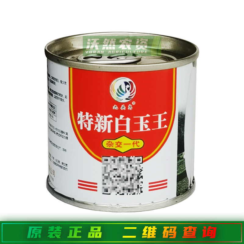 九头鸟特新白玉王萝卜种子60天春夏秋冬早熟春不老九斤王白皮萝卜