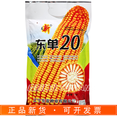 友新东单20高产大棒玉米种子