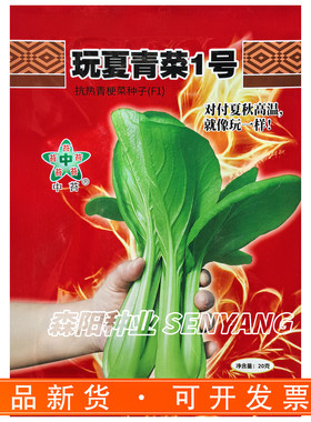 中苔玩夏青菜1号上海青种籽抗热