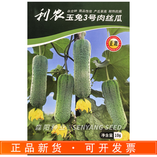 正源利农玉兔3号肉丝瓜杂交种子早中熟短圆筒形丝瓜种籽四季蔬菜