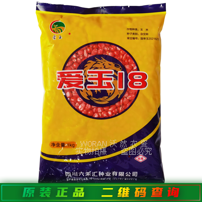 爱玉18玉米种子抗病抗倒