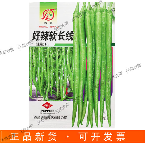 好特好辣软长线辣椒种子高产