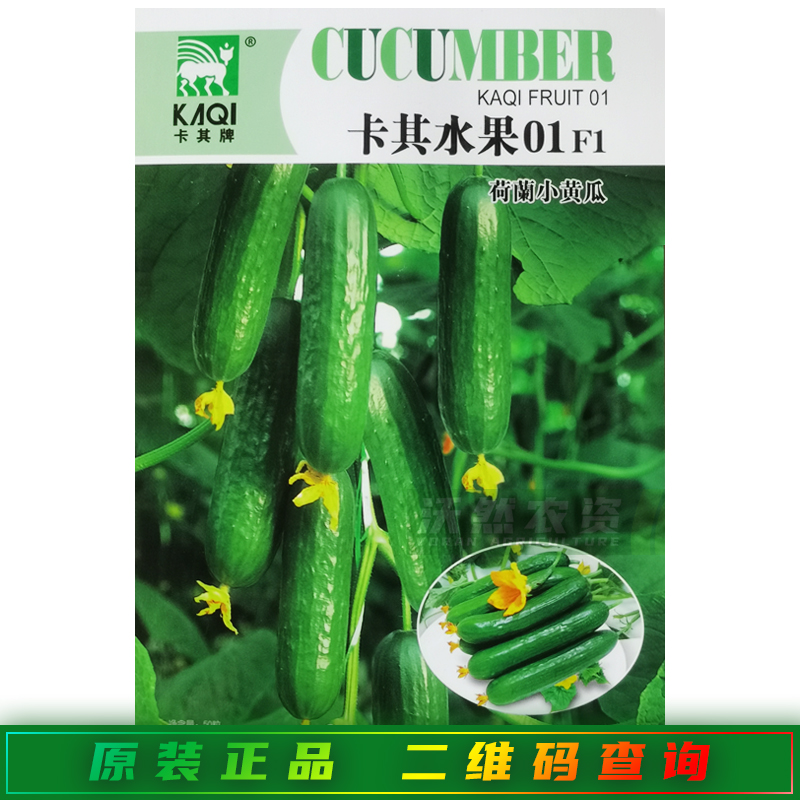 卡其水果01荷兰小黄瓜种子