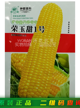 荣玉甜1号玉米种子春秋季超甜水果型黄玉米国审鲜食金冠218包苞谷