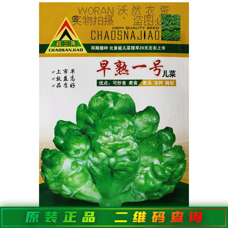 早熟一号儿菜种子四川榨菜正早一号可鲜食加工大田芥菜儿多多儿菜
