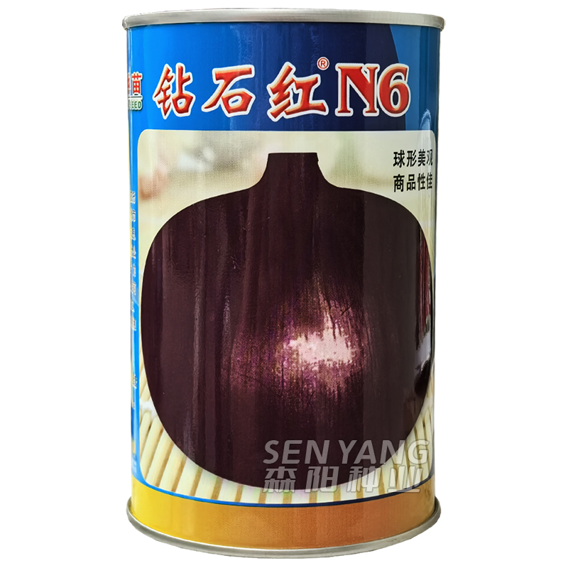 钻石红N6洋葱种子半高桩洋葱