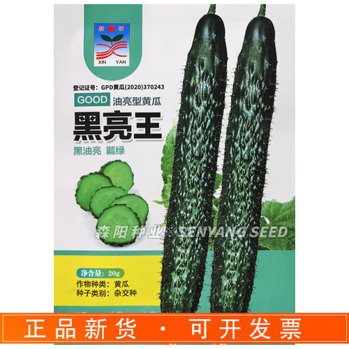 新研黑亮王黄瓜种子早熟高产抗病