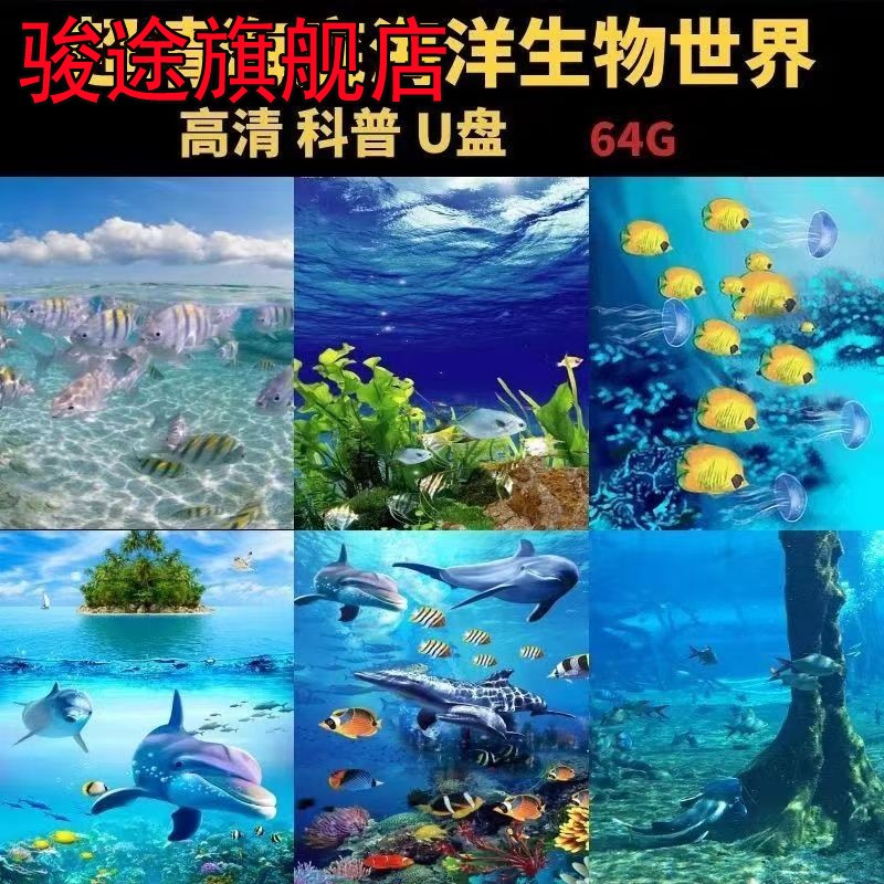 海底世界记录片U盘动物海洋生物儿童百科知识科普超高清1280P优盘