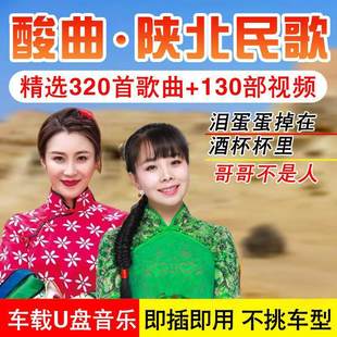 汽车载U盘陕北民歌酸曲民族歌谣刘妍郭涛马美如野强强情歌MP3优盘