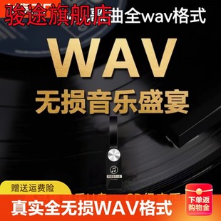 环绕 wav无损音乐u盘高音质2024发烧歌曲汽车车载优盘64g电影正版