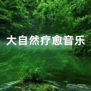 大自然流水滴水声音乐解压白噪音疗愈助眠音频MP3背景U盘轻音乐