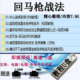 回马枪战法教程合集短线主升浪涨停回落低吸炒股票课程全套U盘