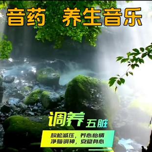 五音养生音乐U盘五音疗法轻音乐MP3纯静心优盘无损