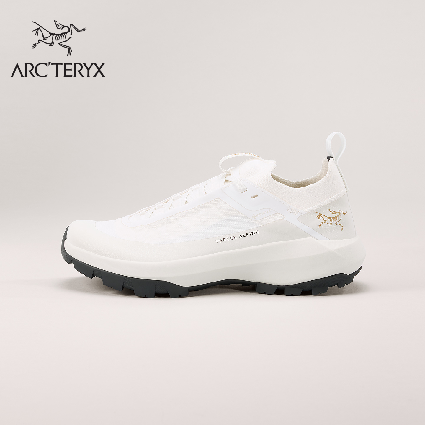 ARC'TERYX始祖鸟 VERTEX ALPINE GTX 覆盖防水 女子 登山鞋