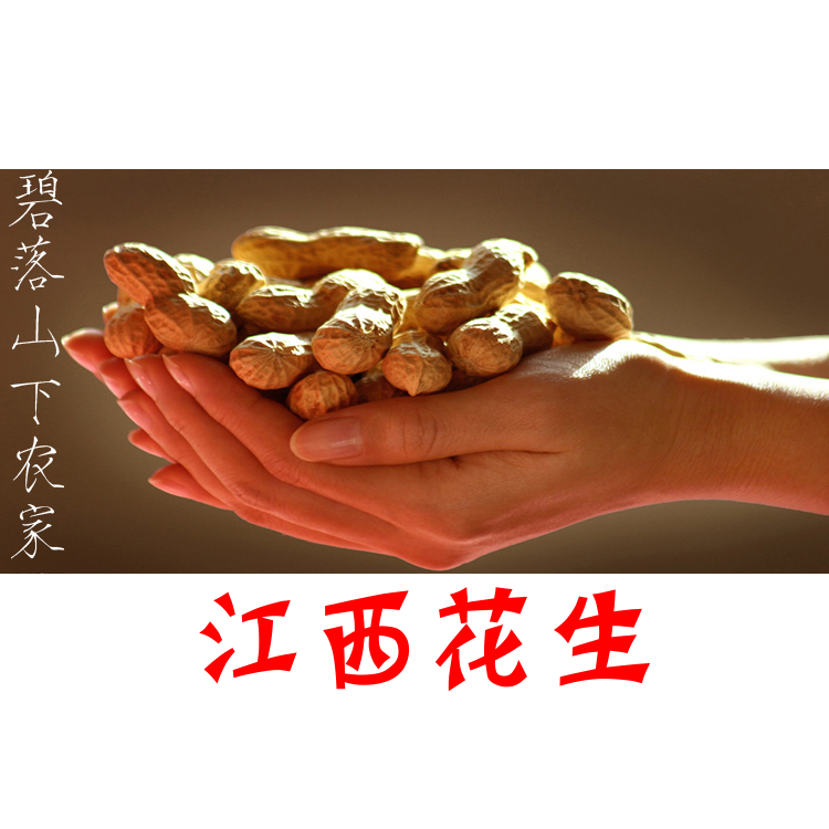2025江西晒干花生 农家自种 新货带壳生花生 结婚 5斤包邮