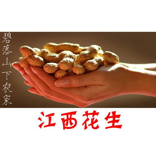 2025江西晒干花生 农家自种 新货带壳生花生 结婚 5斤包邮 - 封面
