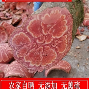 广西野生九龙藤中药材过岗龙龙须藤九龙根入骨丹九龙藤整段包邮