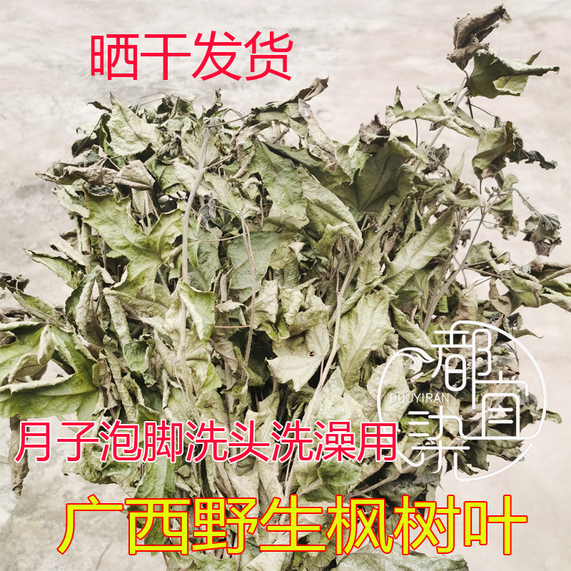广西枫叶干野生枫树叶干货客家坐月子草药洗澡洗头泡脚泡澡产后用