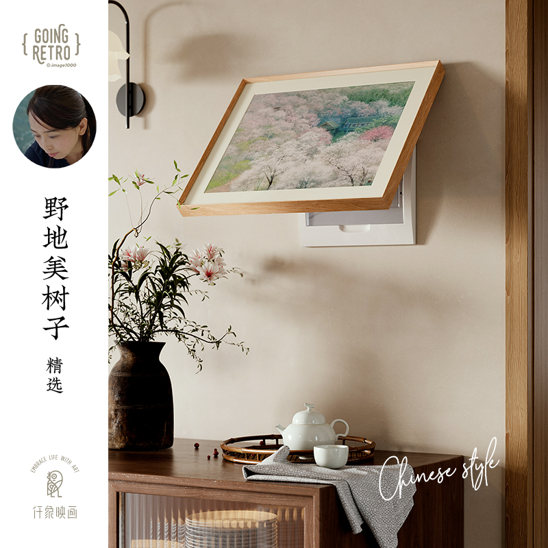 野地美树子X仟象映画 电表箱遮挡装饰画免打孔轻奢高级艺术挂画图片