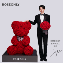 【告白神器】ROSEONLY诺誓高级定制永生花玫瑰兔公仔送女友爱人