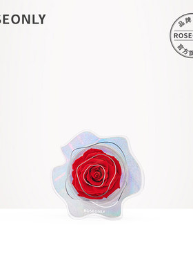 【七夕礼物】ROSEONLY永生玫瑰花礼盒玫瑰星云单朵送女友生日摆件