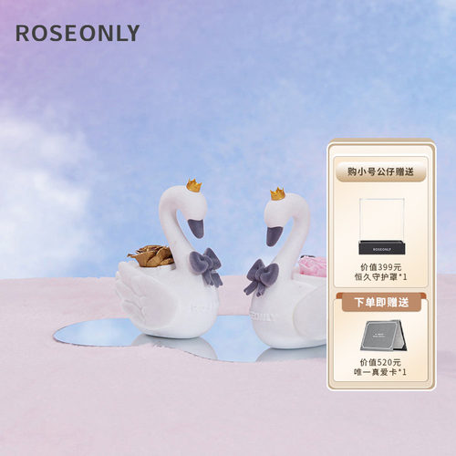 ROSEONLY诺誓斯威娜天鹅永生花