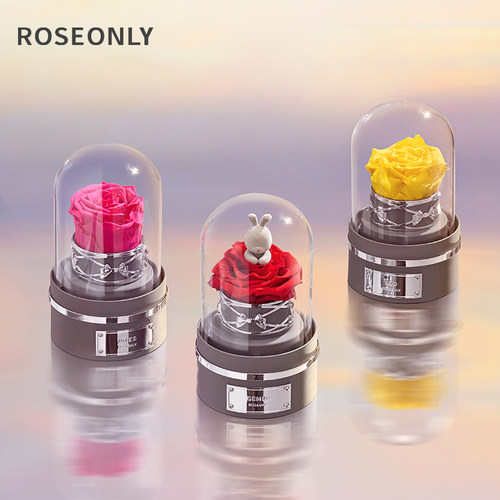 ROSEONLY钟罩永生花礼盒节日礼物