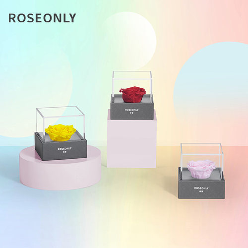 ROSEONLY永生花玫瑰公仔