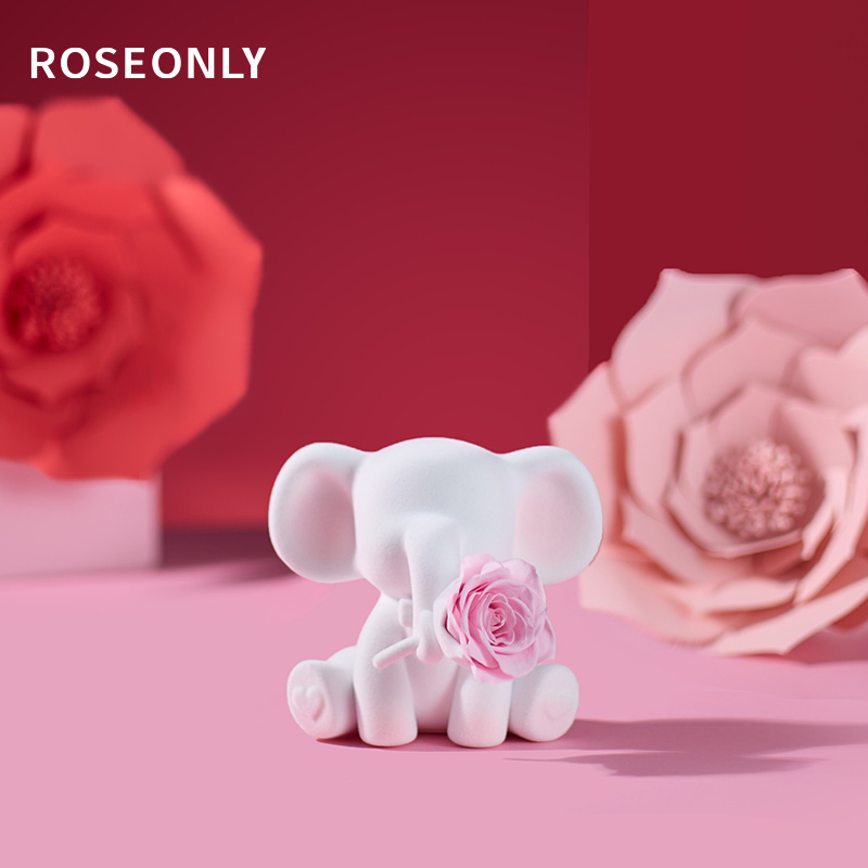 Babyϵ--С-õɫ ROSEONLYõ廨899Ԫ