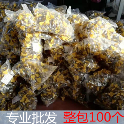 抱箍100只整袋美式卡扣 液化气胶管卡箍 煤气水管紧固不锈钢喉箍