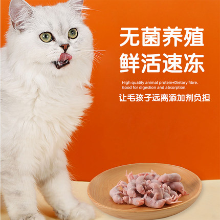顺丰包邮 单只包装 无菌冷冻小白鼠乳鼠红皮粉皮白霜角蛙开食饲料