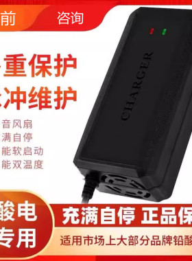适用雅马哈电动车电瓶车通用充电器36V48V12Ah48V20Ah60V72V智能