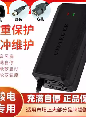 适用阿米尼电动车电瓶车通用充电器36V48V12Ah48V20Ah60V72V智能