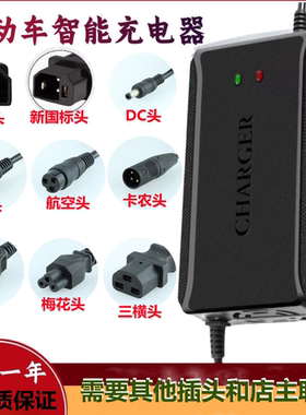 适用凤凰电动车电瓶车通用充电器36V48V12Ah48V20Ah60V72V智能
