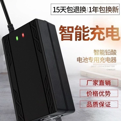 适用绿安骐电动车电瓶车通用充电器36V48V12Ah48V20Ah60V72V智能