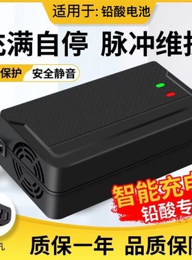 适用森地电动车电瓶车通用充电器36V48V12Ah48V20Ah60V72V智能充