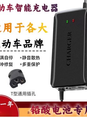 适用东洋雅玛电动车电瓶通用充电器36V48V12Ah48V20Ah60V72V智能