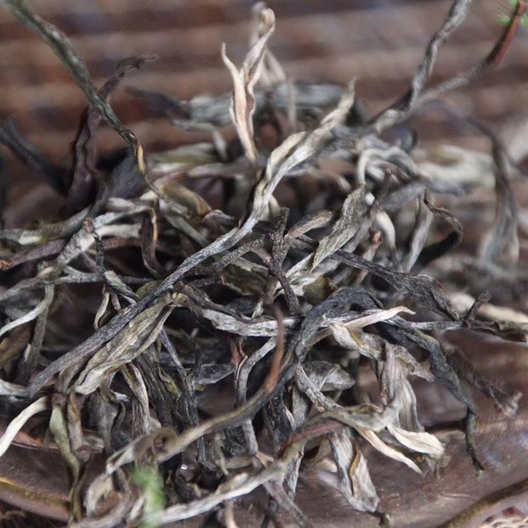 2023年勐海章朗古树春茶100g/份 章朗村242号茶农