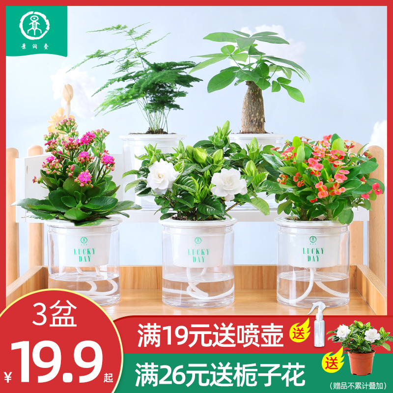 网友分享在meiguo.com的图片