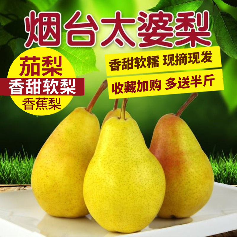 新鲜烟台太婆梨软梨香蕉梨茄梨大头梨茄梨应季水果包邮一面红啤梨