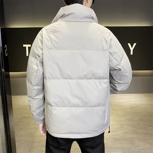店主风2024冬季主推羽绒服男短款立领标绒外套8869--P165图片