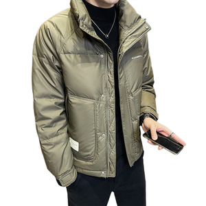 店主风2024冬季主推羽绒服男短款立领标绒外套8869--P165图片