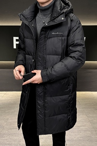 店主风2024冬季长款标绒羽绒服男连帽加厚宽松外套6031--P340图片