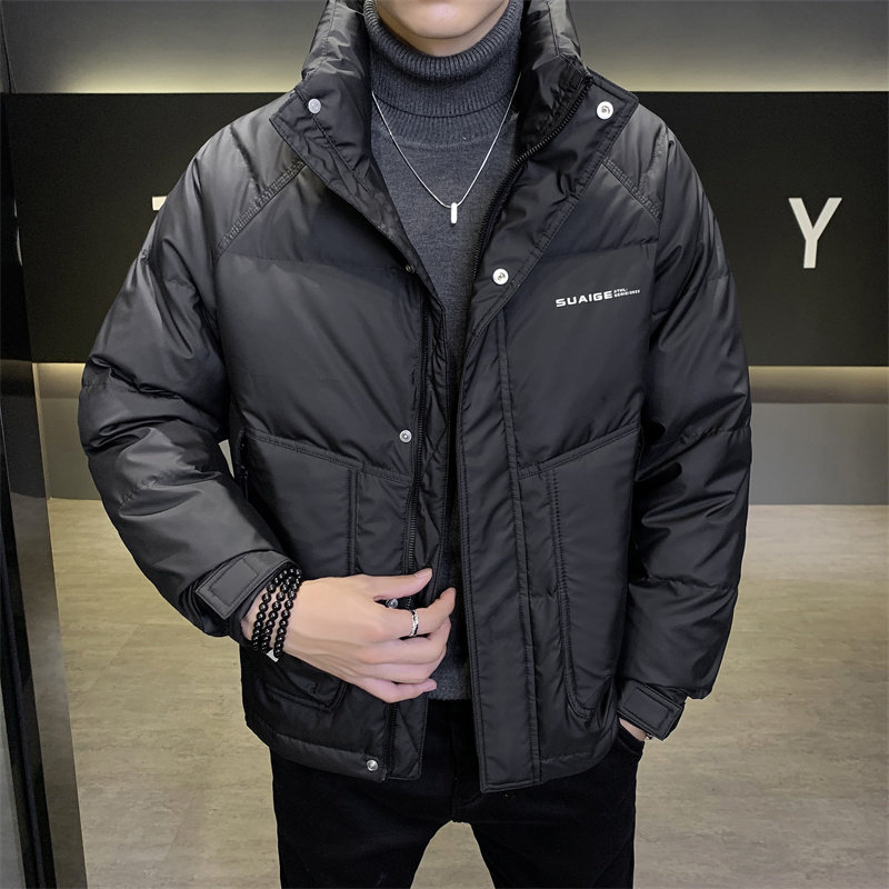 店主风2024冬季主推羽绒服男短款立领标绒外套8869--P165图片