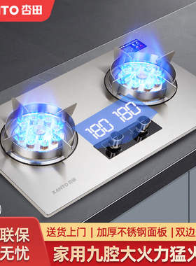 杏田 A 猛火灶JSE款家用大火力天然气液化气煤气灶不锈钢双边定时