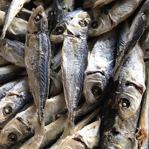 野生自晒巴浪鱼干一斤天然海鱼干